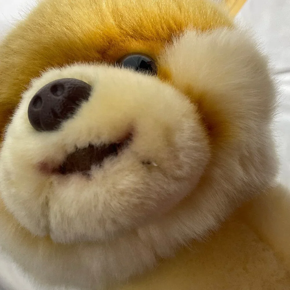 Boo Worlds Cutest Dog Gund Plush Stuffed Animal Pomeranian